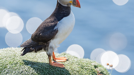 m-zonderling-G2sB_6_xKdc-unsplash-65A40.jpg 1