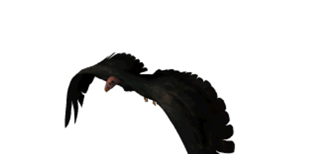 2CC4BB59-7A10-4917-B8D0CE9723F7870B.gif